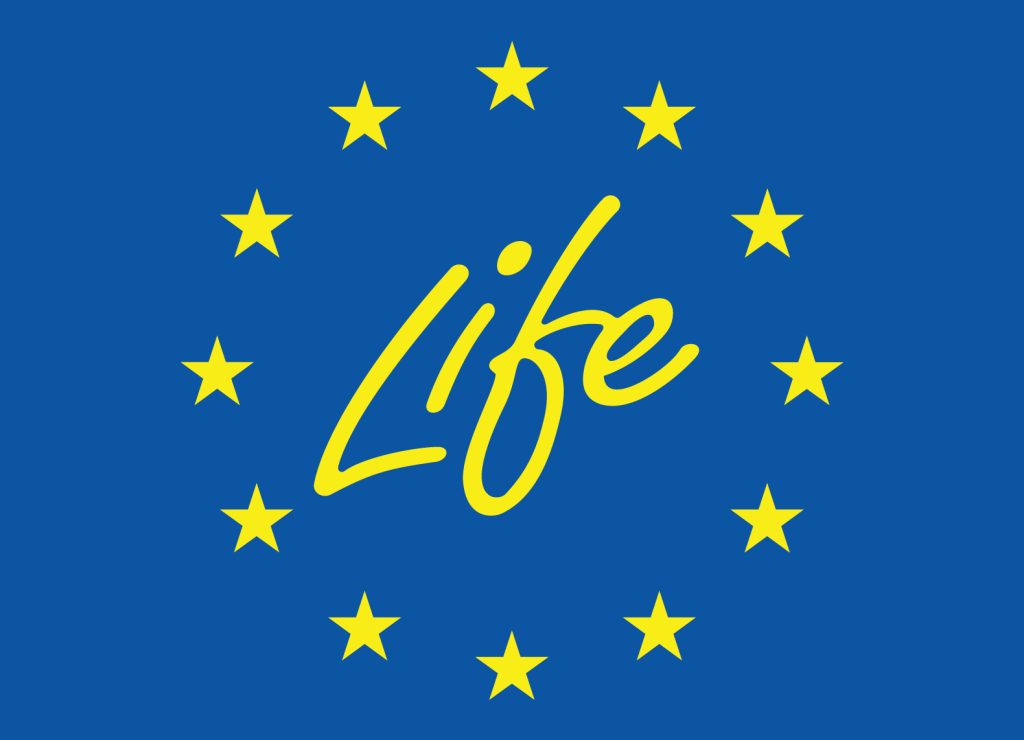 Bandi Life 2026 - Logo